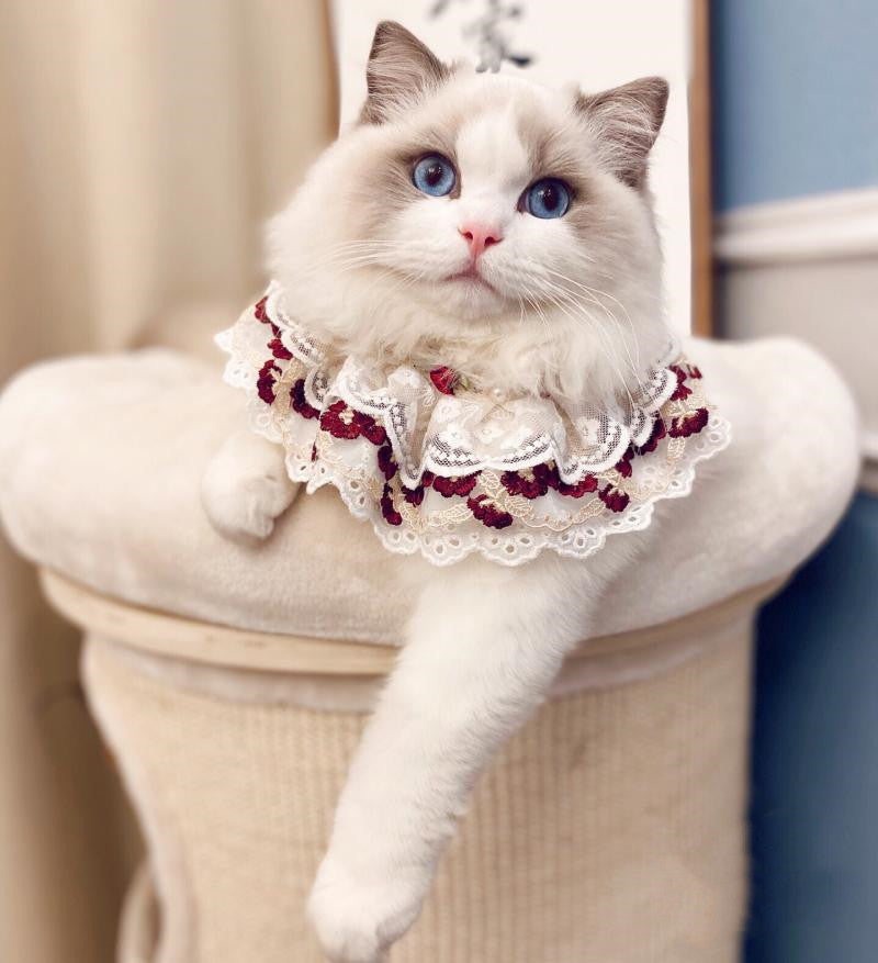 22c95e26aba67e63db77931f2158825f